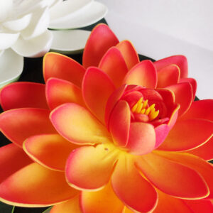 flor loto